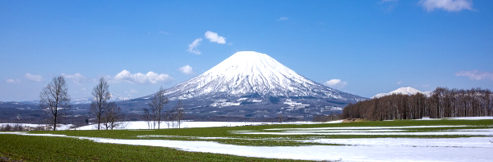 インプレッション会社案内